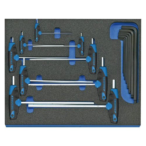 Gedore 2005 CT2-DT Hexagon Allen Key Set in 2/4 CT Tool Module, 17 pcs