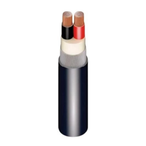 Ducab 6.0 mm2 2-Core XLPE/SWA/PVC Armoured Cable 600/1000 V
