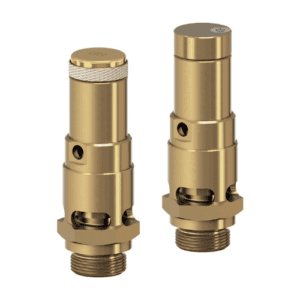 Brass Safety Relief Valve Model: 810sGK-15-NPTm/-15/FKM