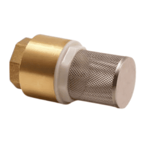 Brass Foot Valve, 2 1/2"