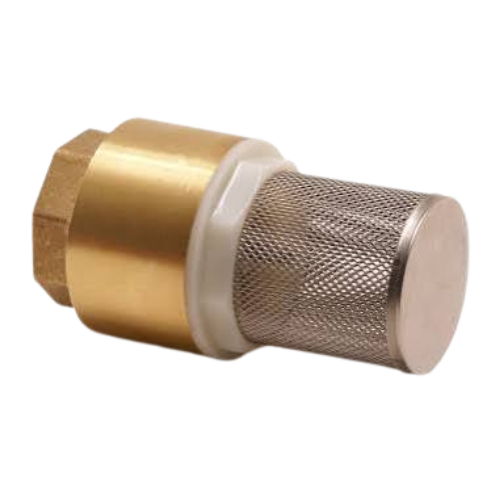 Brass Foot Valve, 2 1/2"