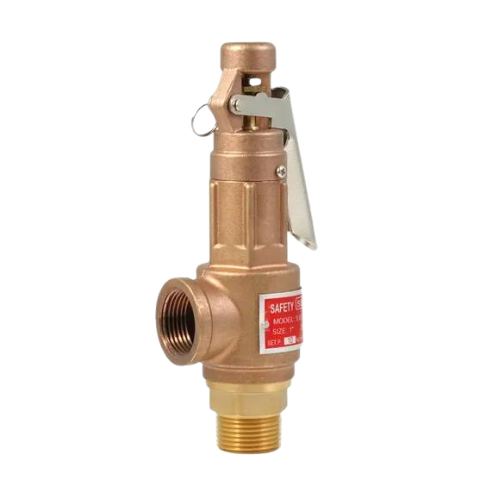Safety Valve, Bronze, 1", 20 Bar