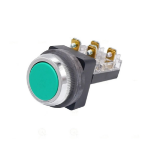 Flat Head 6A 250V Push Button Switch 1a1b (NO-NC) - Green