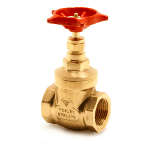 PEGLER BRASS GATE VALVE 2"