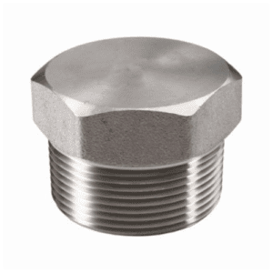 MERIT BRASS 3617HD-16 Hex Head Pipe Plug, 1 in Nominal, MNPT End Style, 3000 lb, 316/316L Stainless Steel