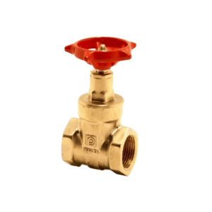 2" Gate VALVE 1065 Peglar