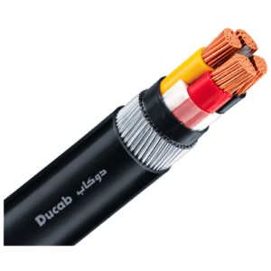 Ducab 0.6/1kV 4CX10mm Cu(Cl2)/XLPE/PVC/SWA/PVC